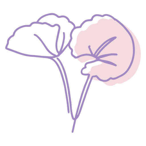 Ilusraci&oacute;n de Centella asi&aacute;tica